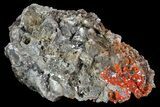 Vibrant Red Vanadinite Crystals on Calcite - Arizona #69206-1